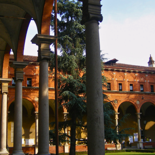 Rifacimento Coperture - Università Cattolica del Sacro Cuore (MI)