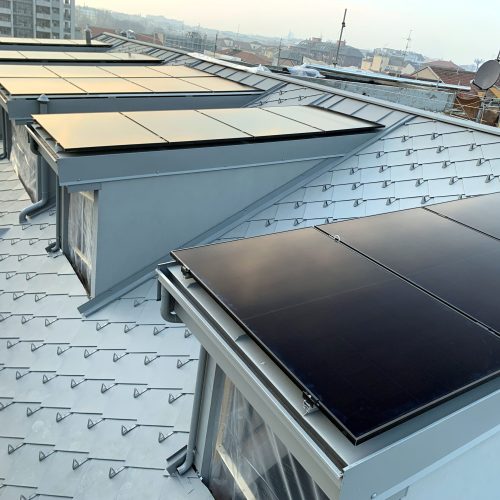 9 Scaglie e scandole 1