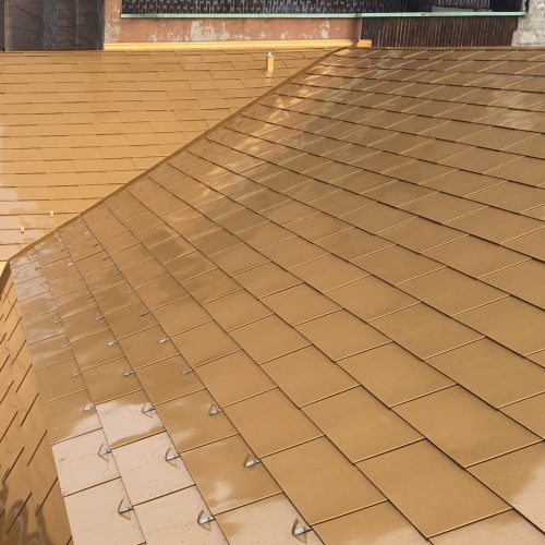 9 Scaglie e scandole 2