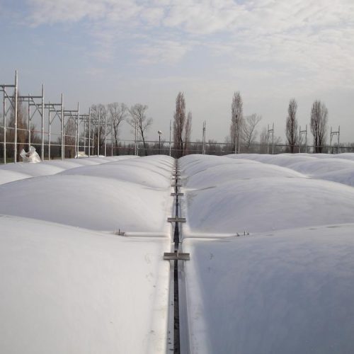 Cupole termoformate pensilina ingresso (2)